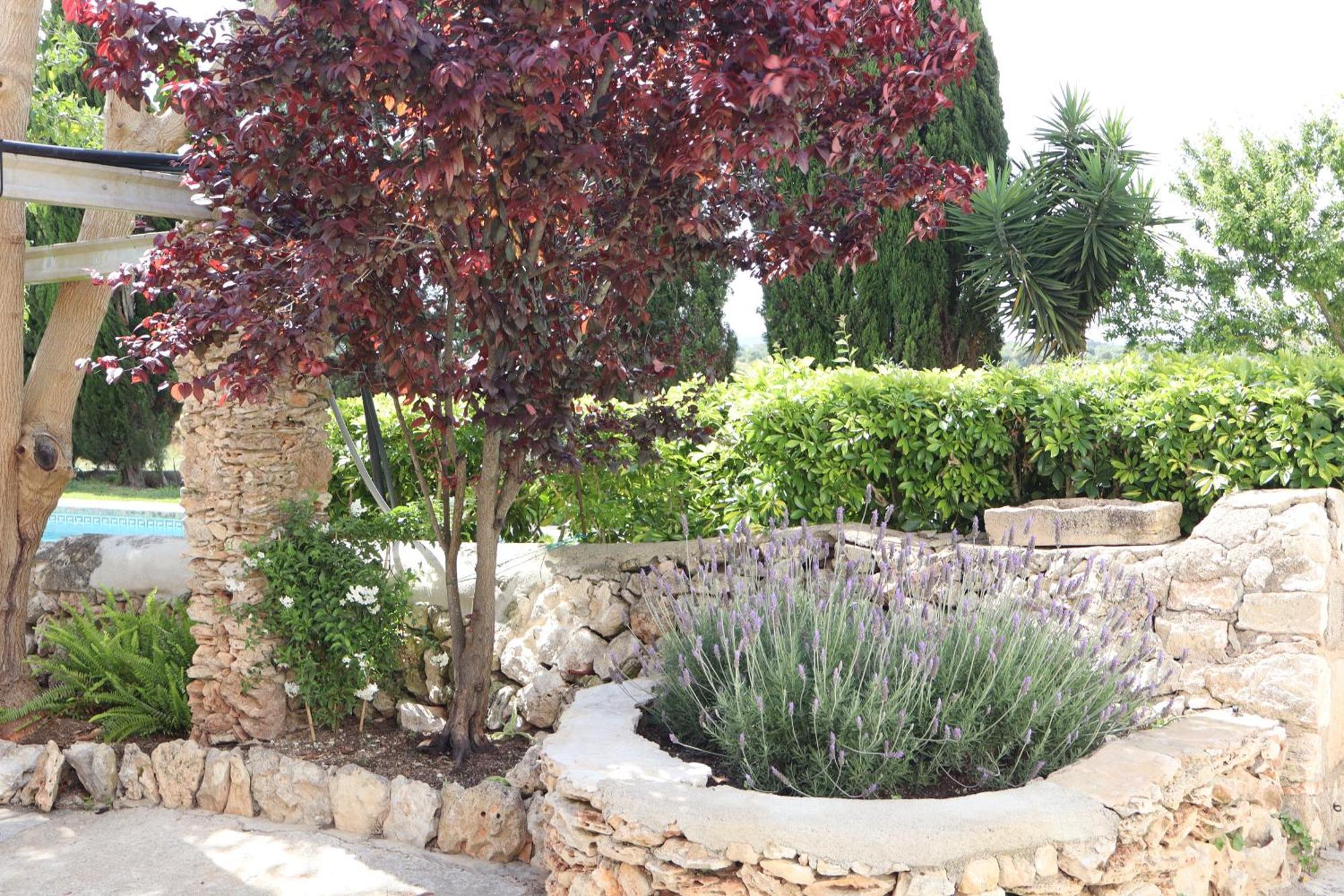 Farm stay Son Valls - Adults Only